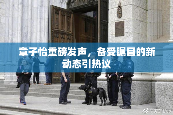 章子怡重磅发声，备受瞩目的新动态引热议