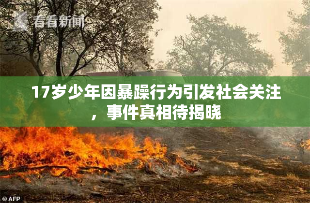 17岁少年因暴躁行为引发社会关注，事件真相待揭晓