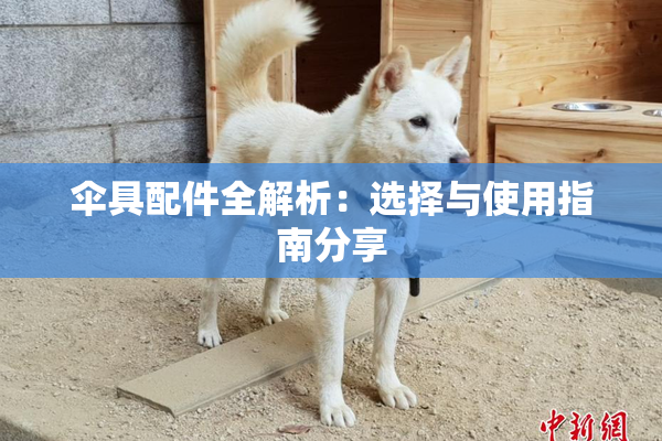 伞具配件全解析：选择与使用指南分享