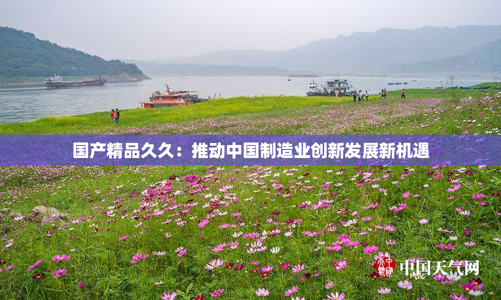国产精品久久：推动中国制造业创新发展新机遇