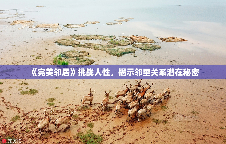 《完美邻居》挑战人性，揭示邻里关系潜在秘密