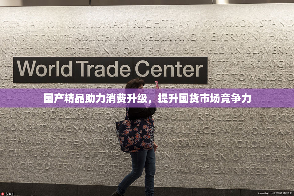 国产精品助力消费升级，提升国货市场竞争力