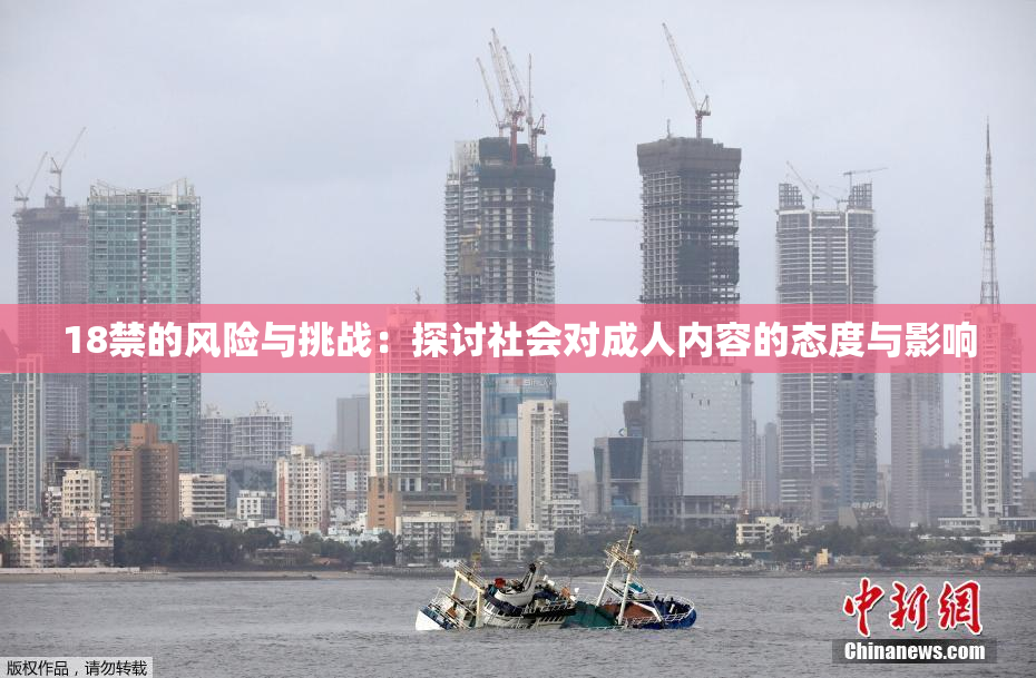 18禁的风险与挑战：探讨社会对成人内容的态度与影响