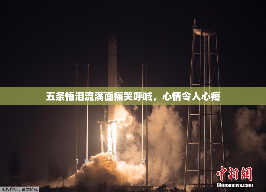五条悟泪流满面痛哭呼喊，心情令人心疼