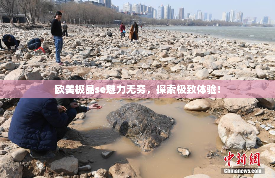 欧美极品se魅力无穷，探索极致体验！