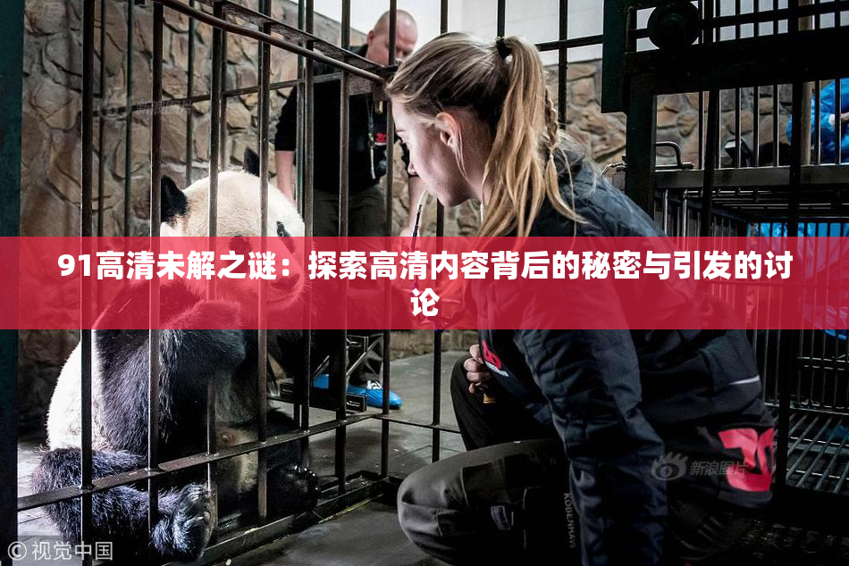 91高清未解之谜：探索高清内容背后的秘密与引发的讨论