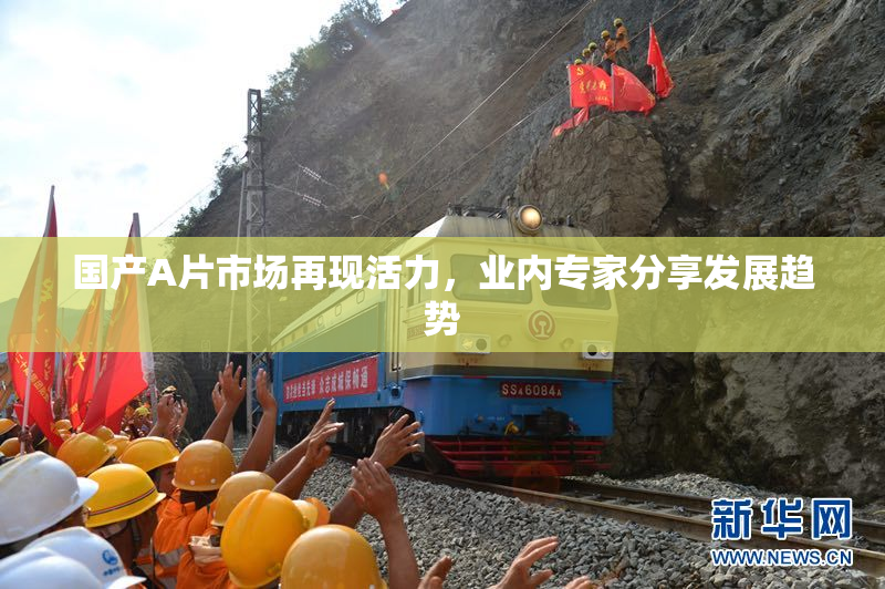国产A片市场再现活力，业内专家分享发展趋势