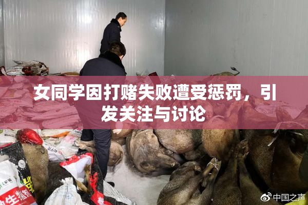 女同学因打赌失败遭受惩罚，引发关注与讨论