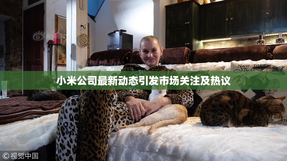 小米公司最新动态引发市场关注及热议