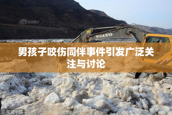 男孩子咬伤同伴事件引发广泛关注与讨论