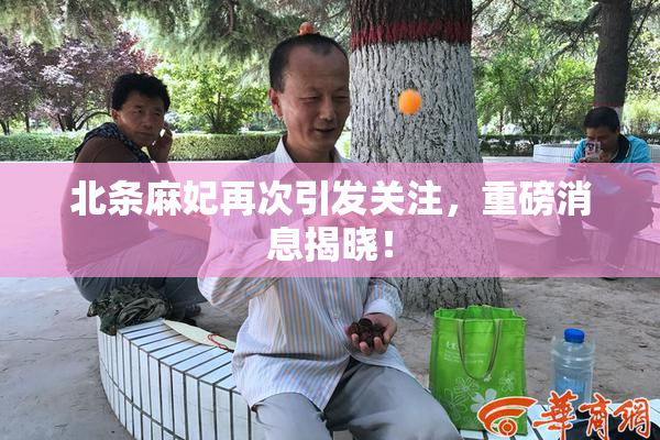 北条麻妃再次引发关注，重磅消息揭晓！