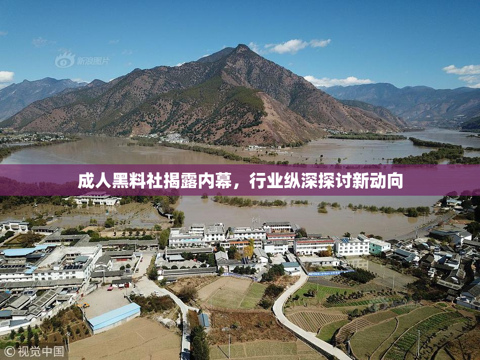 成人黑料社揭露内幕，行业纵深探讨新动向