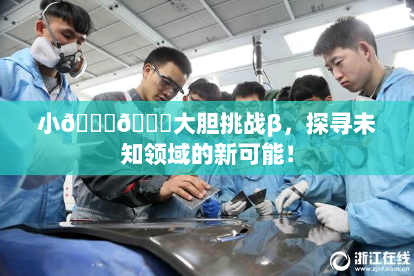 小🐔🐔大胆挑战β，探寻未知领域的新可能！
