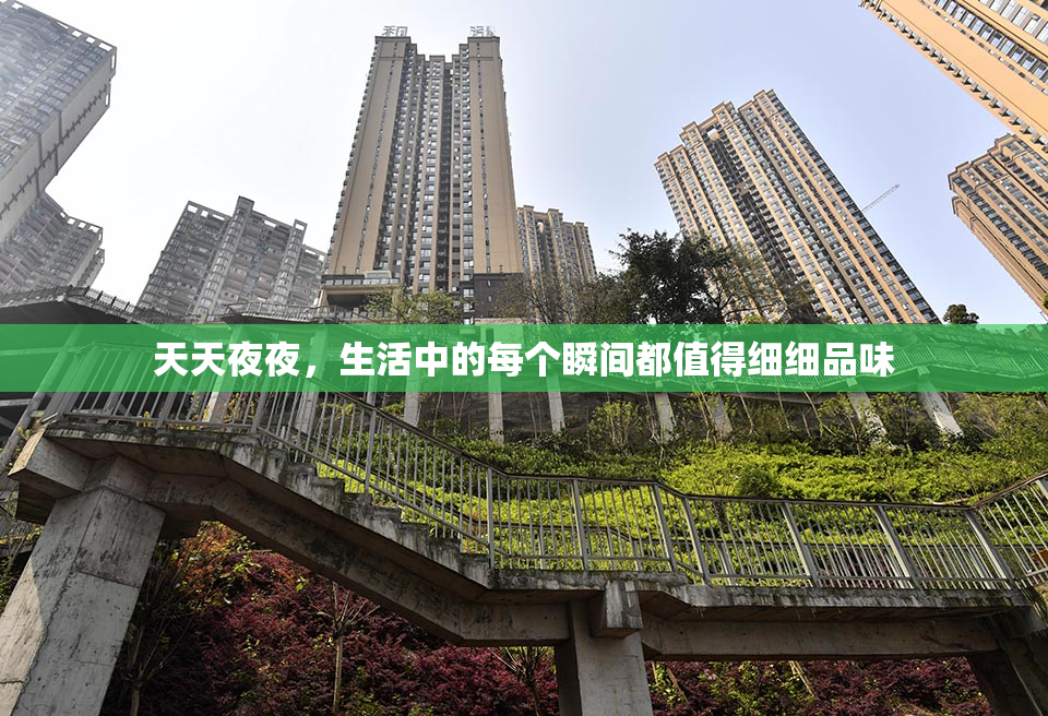 天天夜夜，生活中的每个瞬间都值得细细品味