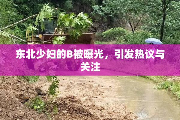 东北少妇的B被曝光，引发热议与关注