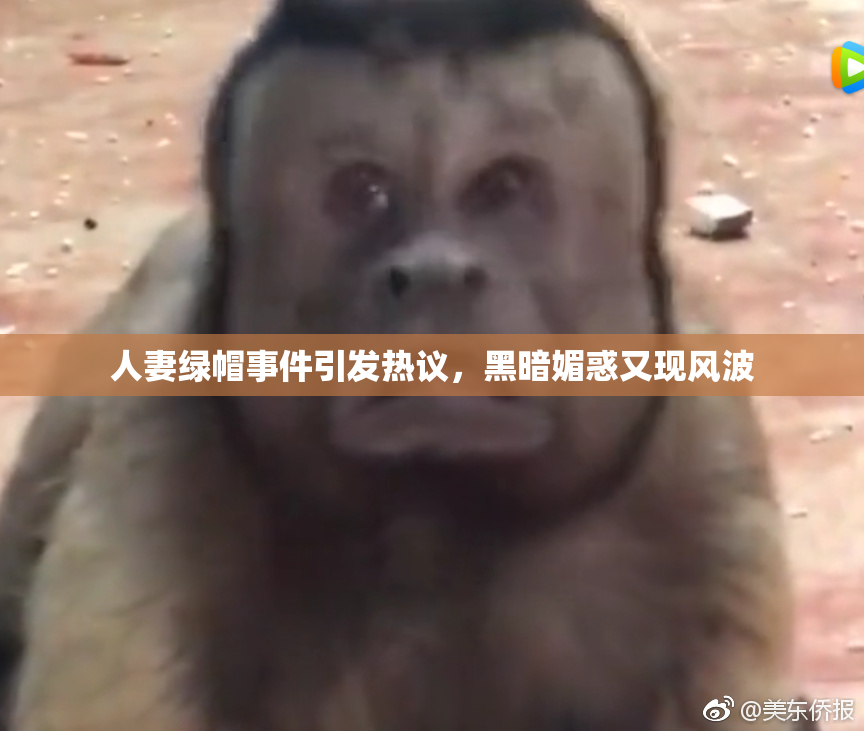 人妻绿帽事件引发热议，黑暗媚惑又现风波