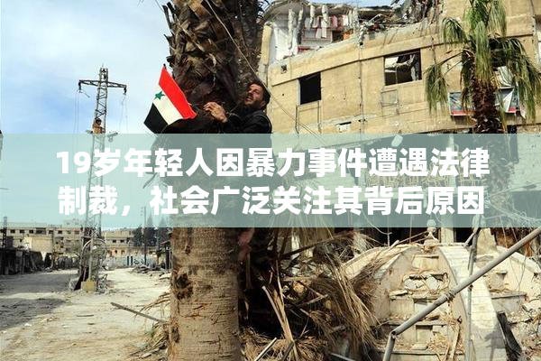19岁年轻人因暴力事件遭遇法律制裁，社会广泛关注其背后原因