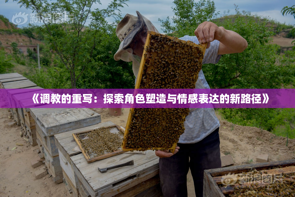《调教的重写：探索角色塑造与情感表达的新路径》