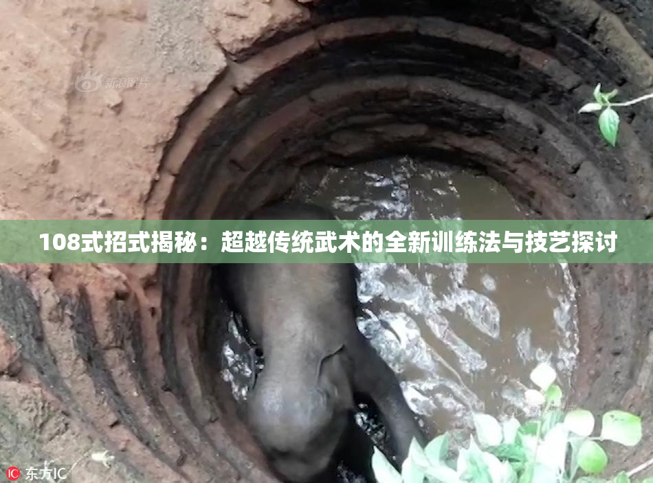 108式招式揭秘：超越传统武术的全新训练法与技艺探讨