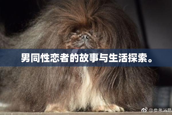 男同性恋者的故事与生活探索。