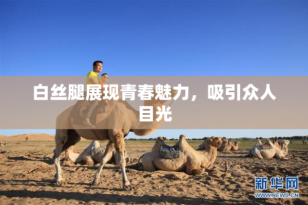 白丝腿展现青春魅力，吸引众人目光