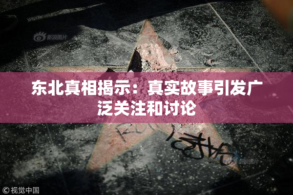 东北真相揭示：真实故事引发广泛关注和讨论
