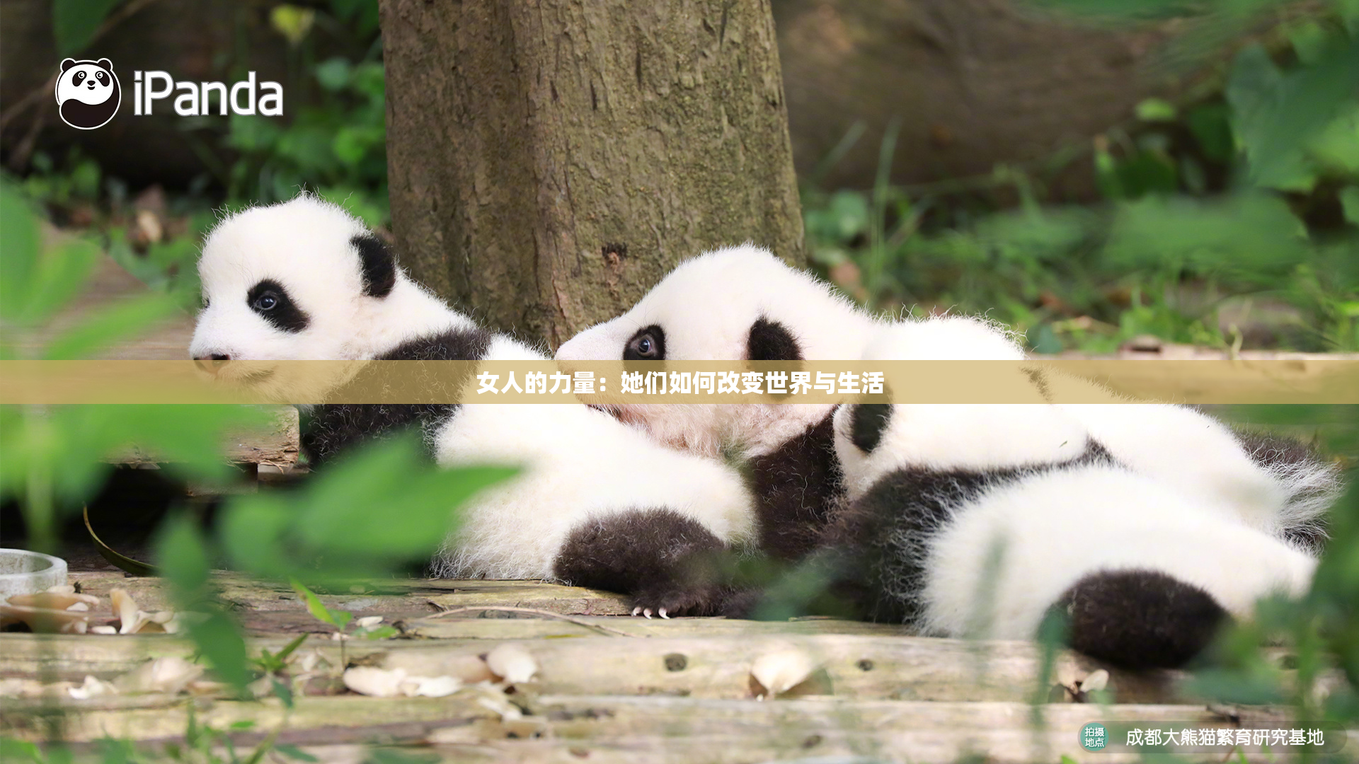 女人的力量：她们如何改变世界与生活
