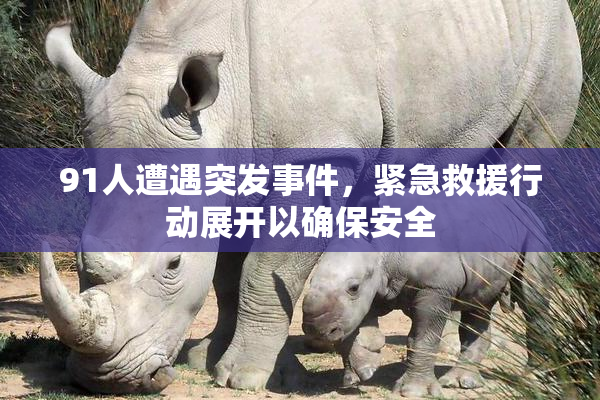 91人遭遇突发事件，紧急救援行动展开以确保安全
