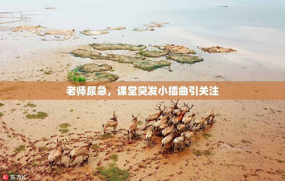 老师尿急，课堂突发小插曲引关注