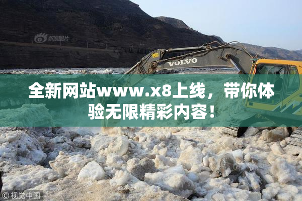 全新网站www.x8上线，带你体验无限精彩内容！