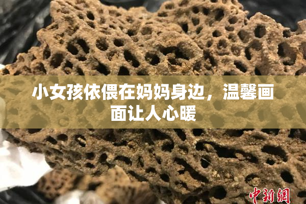 小女孩依偎在妈妈身边，温馨画面让人心暖