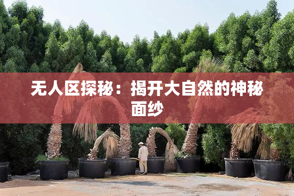 无人区探秘：揭开大自然的神秘面纱