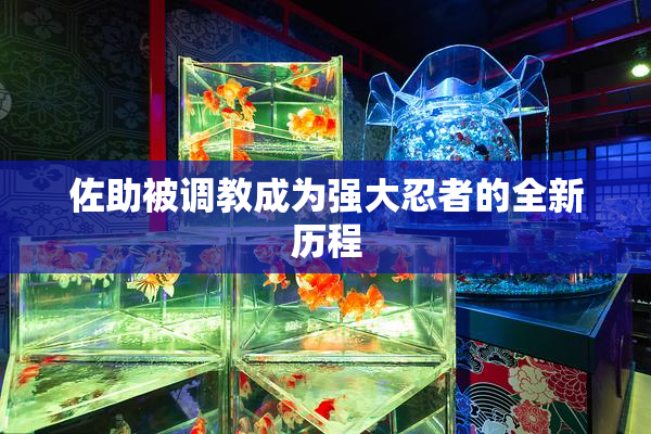 佐助被调教成为强大忍者的全新历程