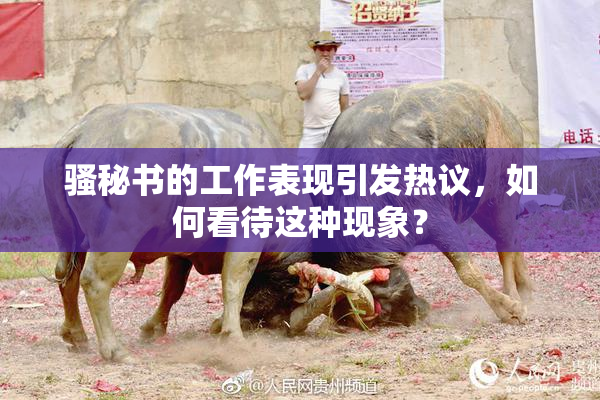 骚秘书的工作表现引发热议，如何看待这种现象？
