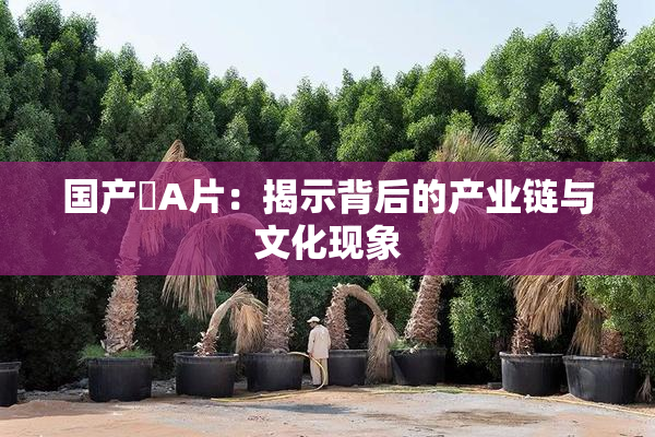 国产婬A片：揭示背后的产业链与文化现象
