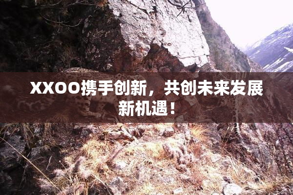 XXOO携手创新，共创未来发展新机遇！