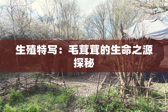 生殖特写：毛茸茸的生命之源探秘