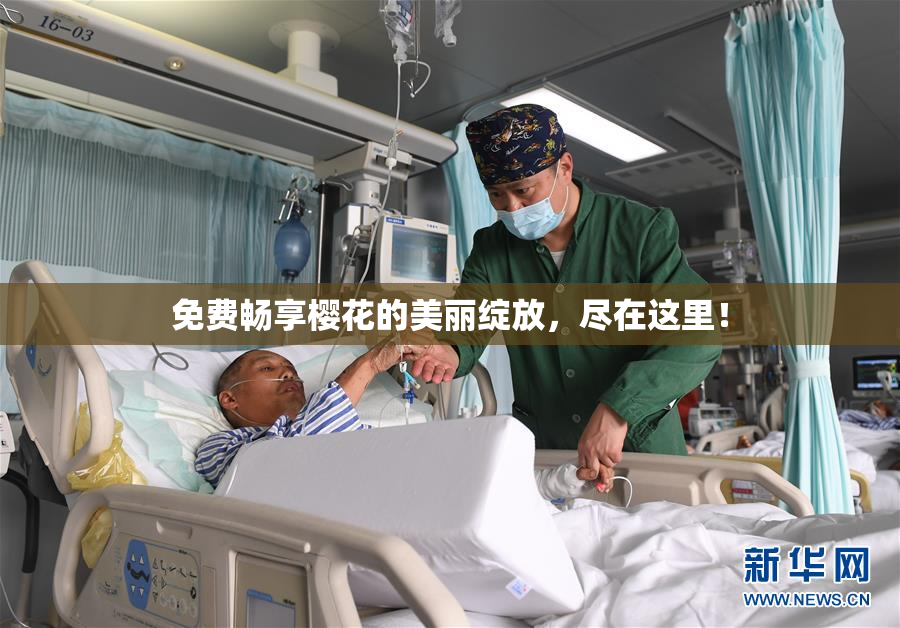 免费畅享樱花的美丽绽放，尽在这里！