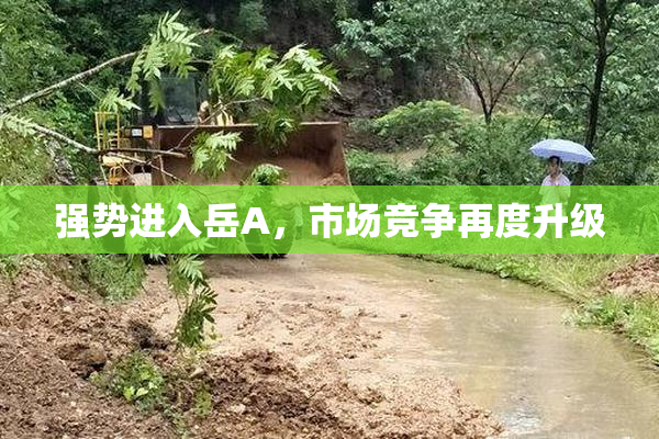 强势进入岳A，市场竞争再度升级