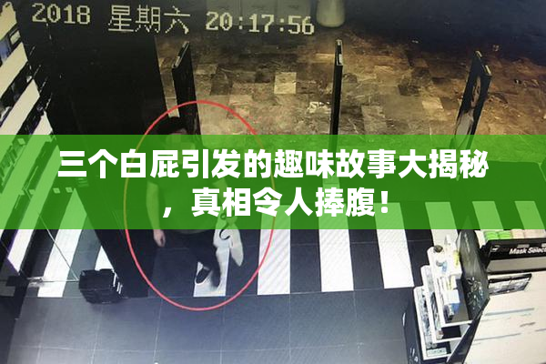 三个白屁引发的趣味故事大揭秘，真相令人捧腹！
