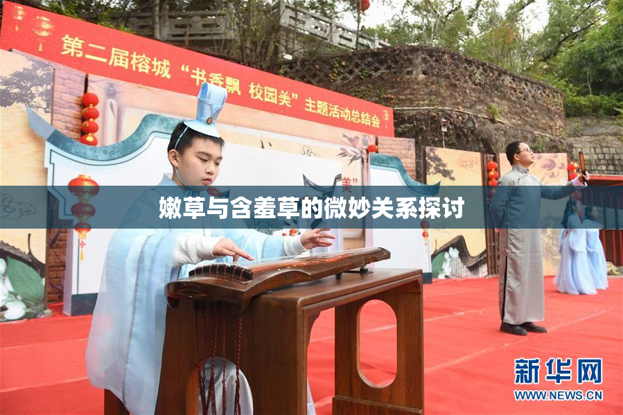 嫩草与含羞草的微妙关系探讨