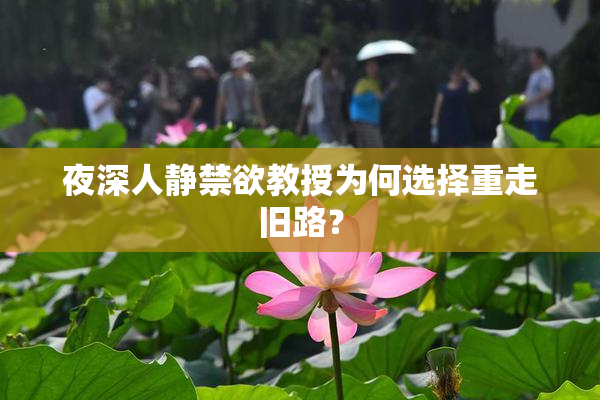 夜深人静禁欲教授为何选择重走旧路？