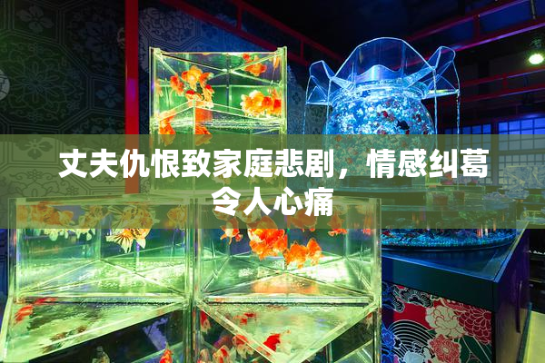 丈夫仇恨致家庭悲剧，情感纠葛令人心痛