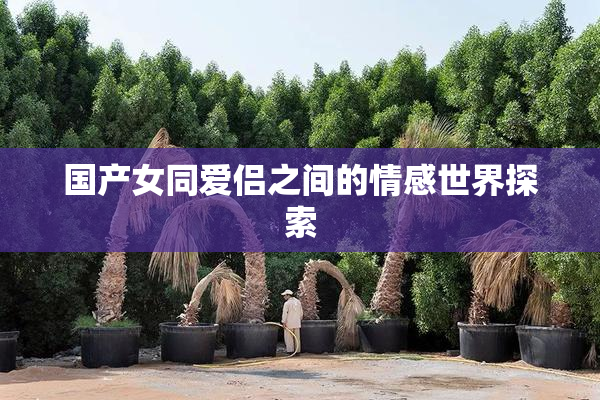 国产女同爱侣之间的情感世界探索