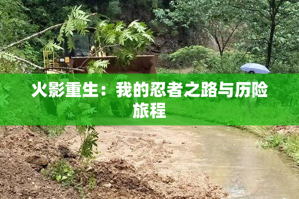 火影重生：我的忍者之路与历险旅程