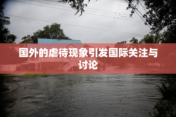 国外的虐待现象引发国际关注与讨论