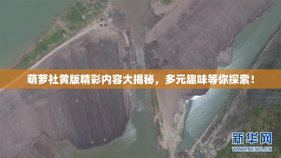 萌萝社黄版精彩内容大揭秘，多元趣味等你探索！