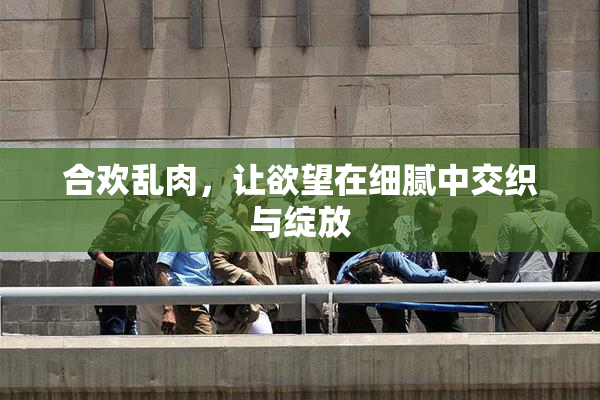 合欢乱肉，让欲望在细腻中交织与绽放