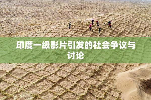 印度一级影片引发的社会争议与讨论