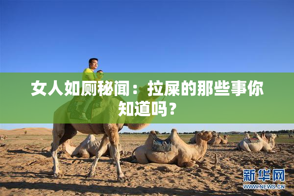 女人如厕秘闻：拉屎的那些事你知道吗？